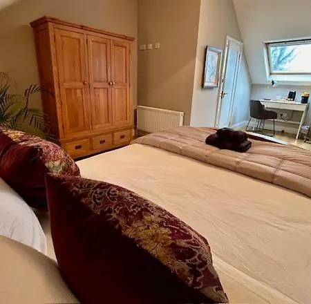 The Lodge, Monkstown